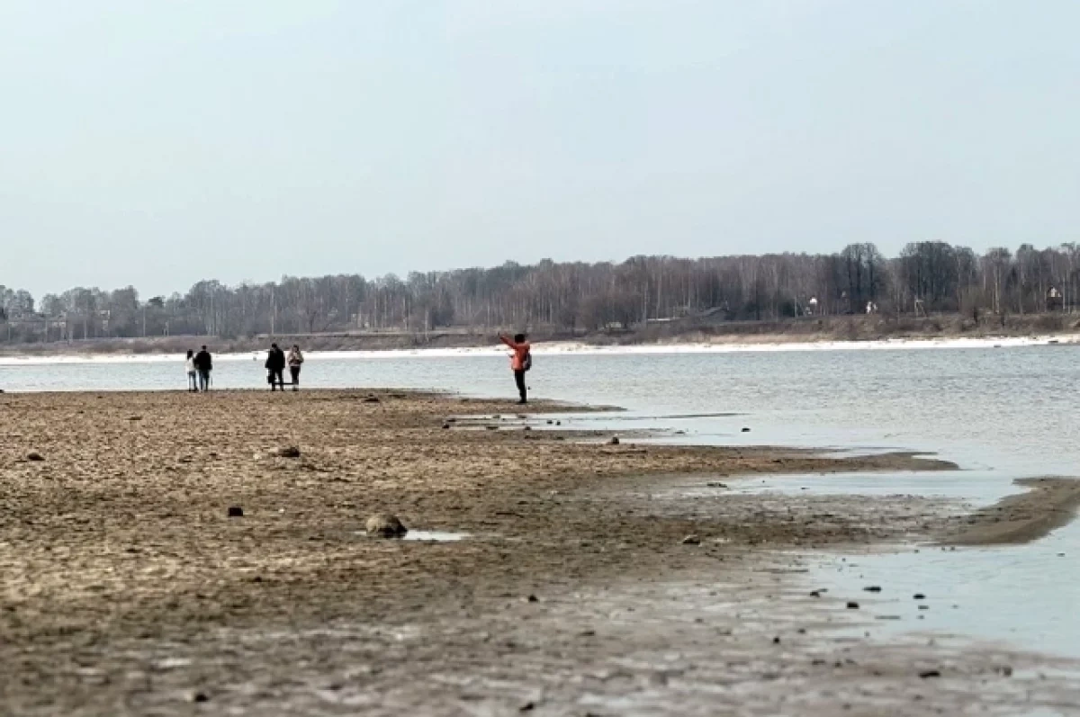 Нижегородский министр транспорта прокомментировал обмеление Волги