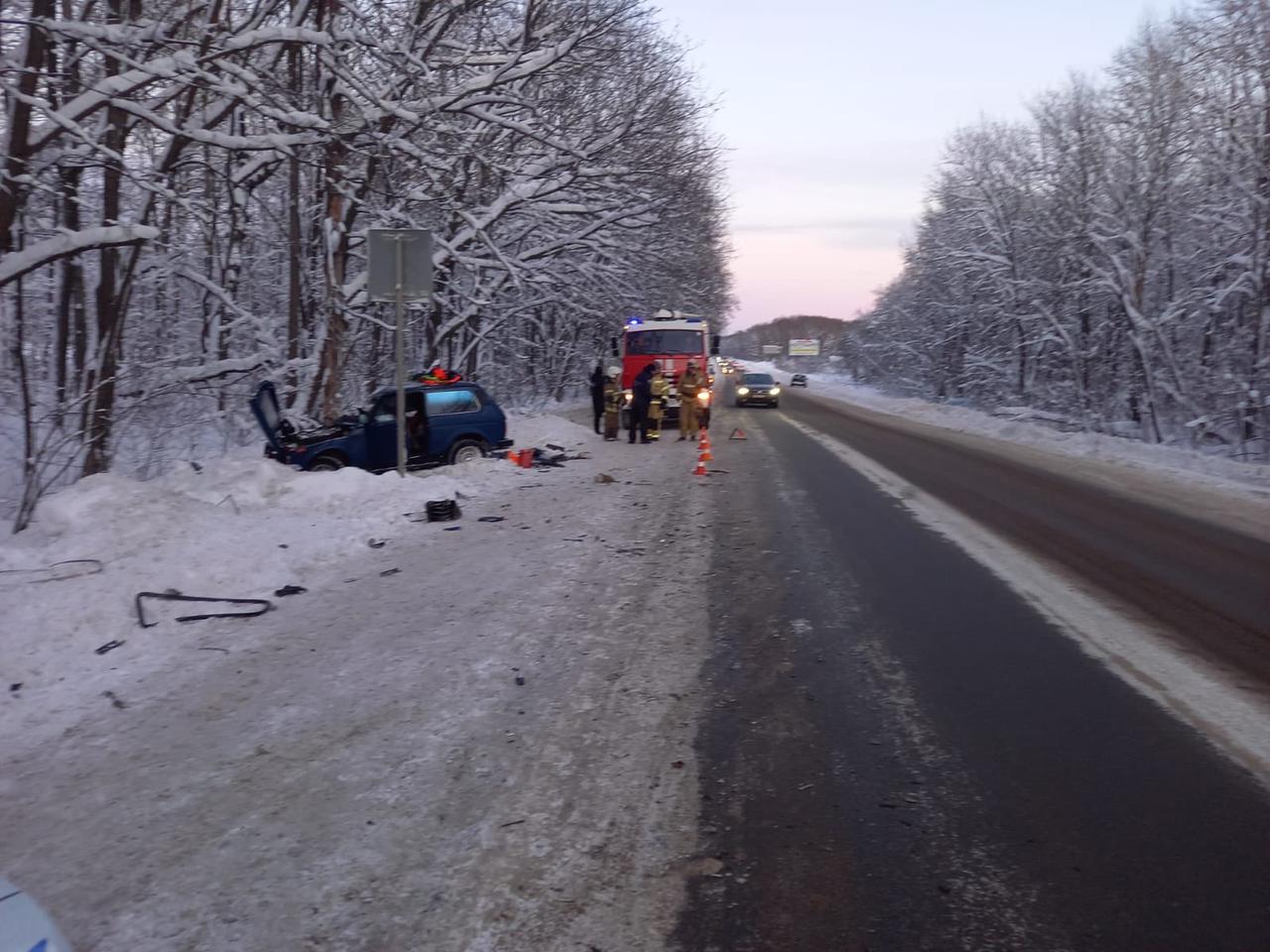 В аварии в Нижегородской области погибли два ребенка