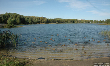 В Светлоярском озере запретили купаться
