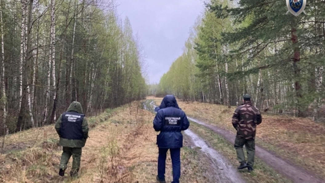 В Нижегородской области нашли ребёнка, потерявшегося 25 апреля