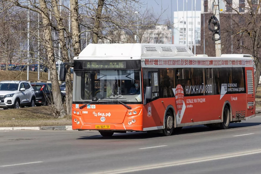 В Нижнем Новгороде запустят три новых автобусных маршрутов