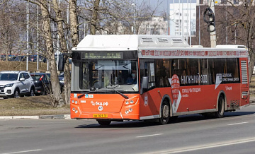 В Нижнем Новгороде запустят три новых автобусных маршрутов