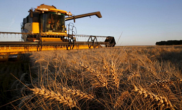 В Нижегородской области собрали 1,1 млн тонн нового урожая зерна