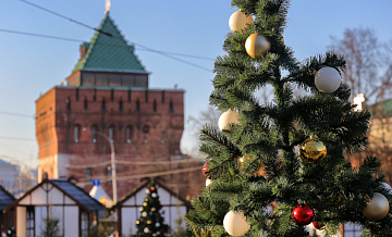 Нижегородскую новогоднюю ель установят за 3,6 миллионов рублей