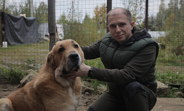 Михаил Романов готов способствовать тому, чтобы приюты для бездомных животных стали цивилизованными