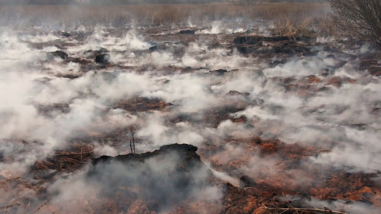28 июня в Борском районе зафиксировано возгорание торфяного слоя