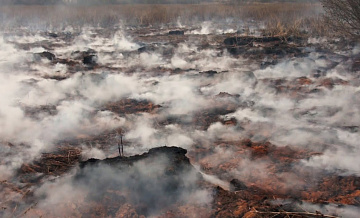 28 июня в Борском районе зафиксировано возгорание торфяного слоя
